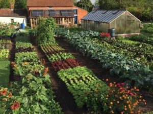 Зарабатывайте с нашей партнерской программой в категории Сад и огород