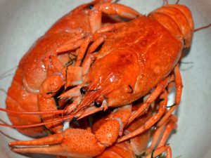 Раки вареные