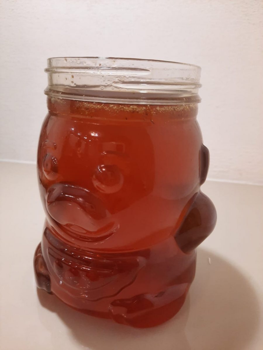 kashtanovii-med00002