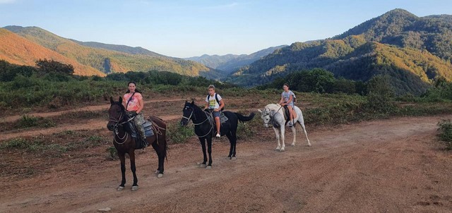 Конный клуб