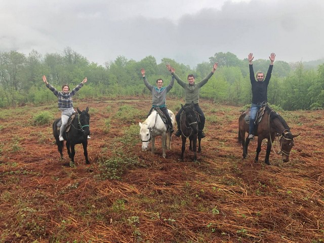 Конный клуб