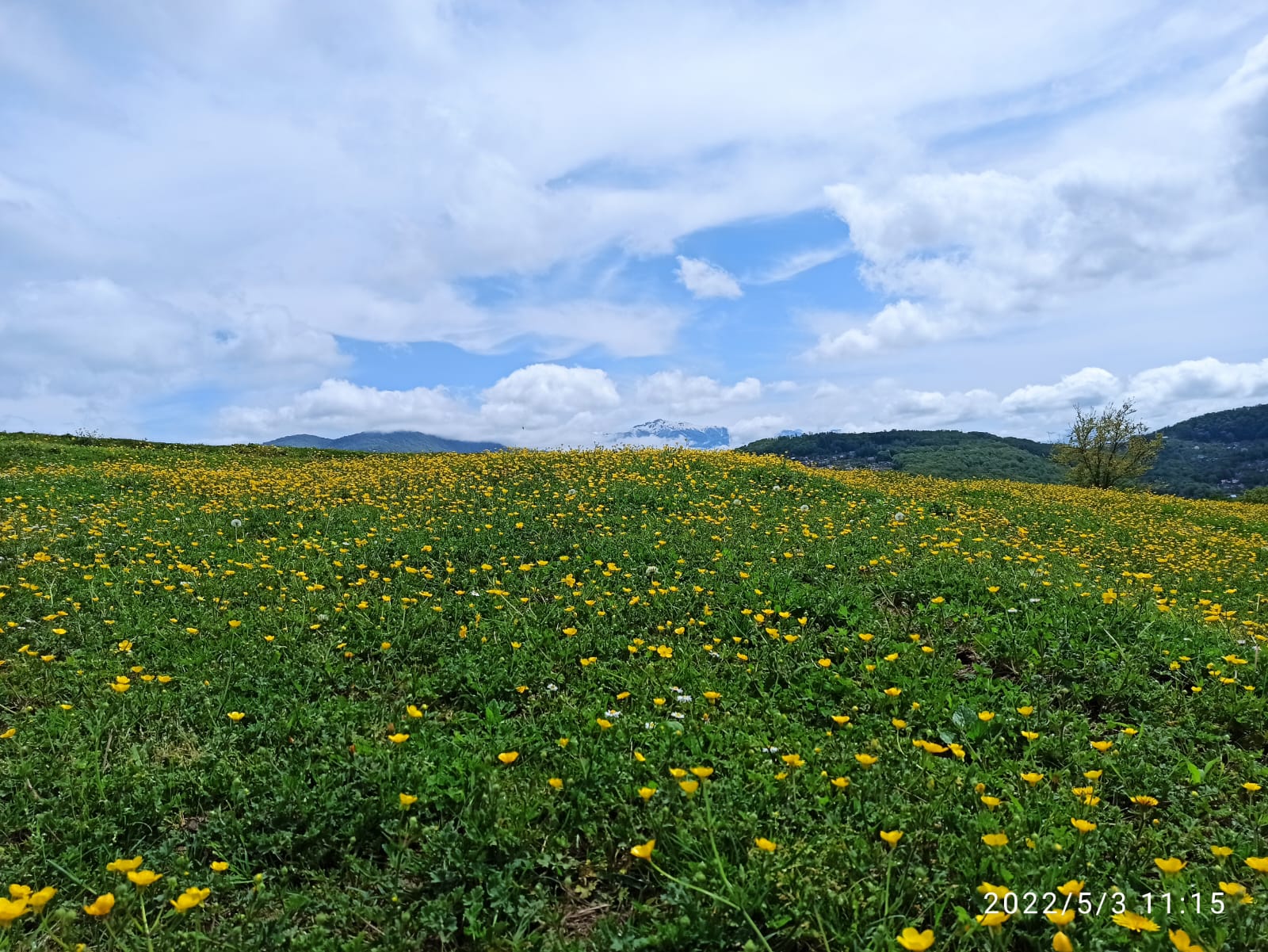 Виды Конные прогулки Сухой Каньон АрхызWhatsApp Image 2022-11-23 at 08.54.34 (2) Виды конные прогулки Сухой Каньон Архыз