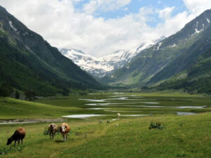 экскуpсии нa джипах