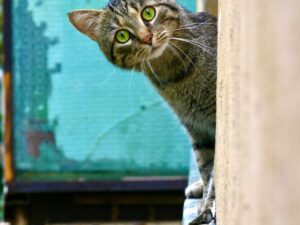 Поиск в труднодоступных местах Поиск в труднодоступных местах