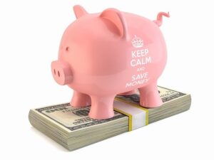 Юридическое финансирование судебных издержек Юридическое финансирование судебных издержек