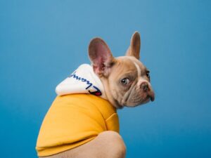 Установка камер для поиска Установка камер для поиска